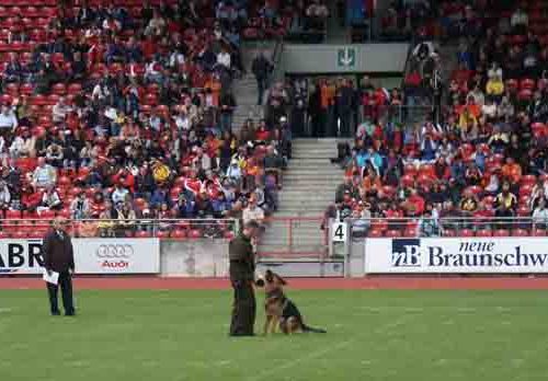 German Shepherd training Braunschweig, Germany 2007