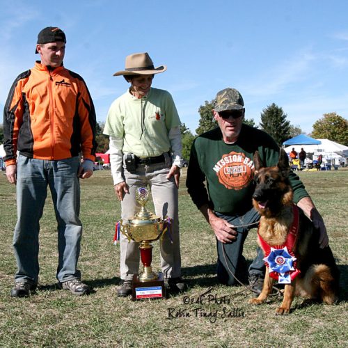 Sieger Dog Show 2008
