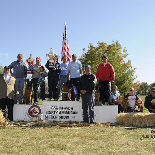 Sieger Dog Show 2008