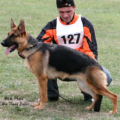 Isolda Sieger Show 2008