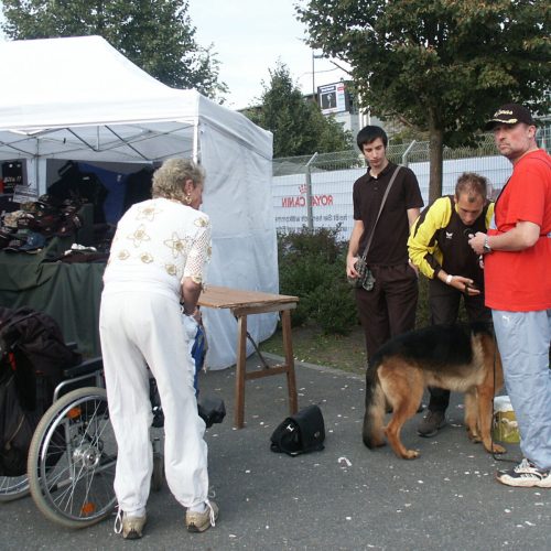 Nurnberg German Shepherd Dog Show 2011
