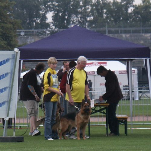 Nurnberg German Shepherd Dog Show 2011